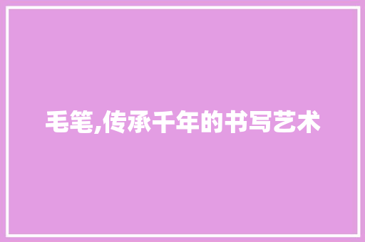 毛笔,传承千年的书写艺术