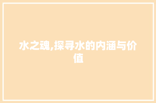 水之魂,探寻水的内涵与价值