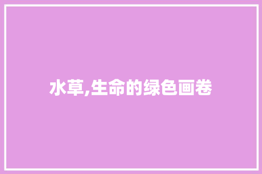 水草,生命的绿色画卷