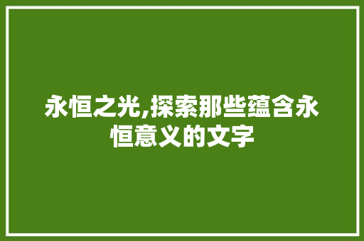 永恒之光,探索那些蕴含永恒意义的文字