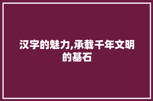 汉字的魅力,承载千年文明的基石