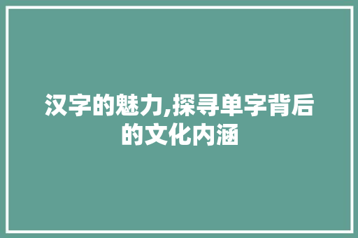 汉字的魅力,探寻单字背后的文化内涵