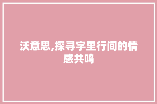 沃意思,探寻字里行间的情感共鸣