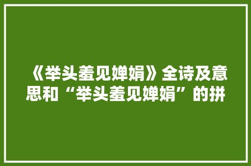《举头羞见婵娟》全诗及意思和“举头羞见婵娟”的拼音注释
