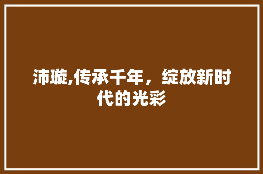 沛璇,传承千年，绽放新时代的光彩