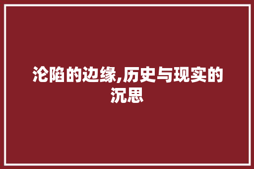 沦陷的边缘,历史与现实的沉思
