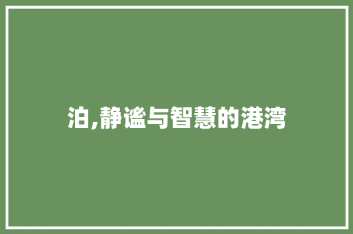 泊,静谧与智慧的港湾