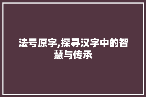 法号原字,探寻汉字中的智慧与传承