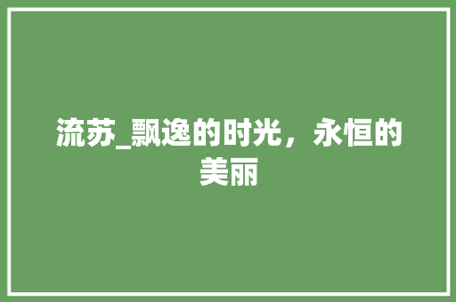 流苏_飘逸的时光，永恒的美丽