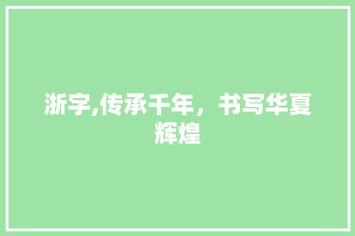 浙字,传承千年，书写华夏辉煌