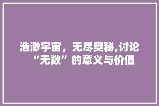 浩渺宇宙，无尽奥秘,讨论“无数”的意义与价值