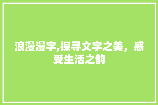 浪漫漫字,探寻文字之美，感受生活之韵