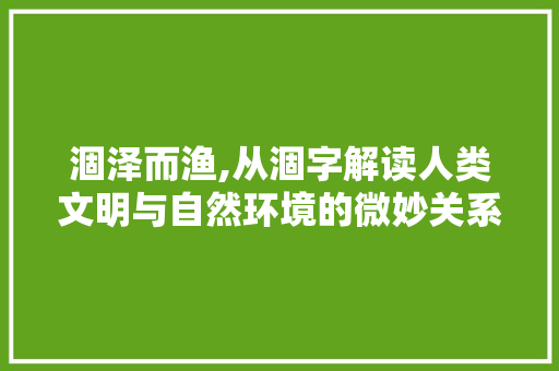 涸泽而渔,从涸字解读人类文明与自然环境的微妙关系