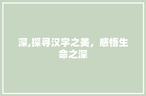 深,探寻汉字之美，感悟生命之深