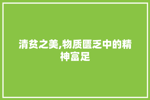 清贫之美,物质匮乏中的精神富足