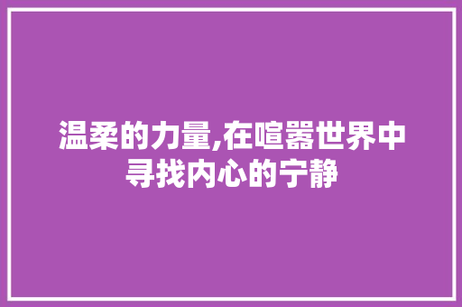 温柔的力量,在喧嚣世界中寻找内心的宁静
