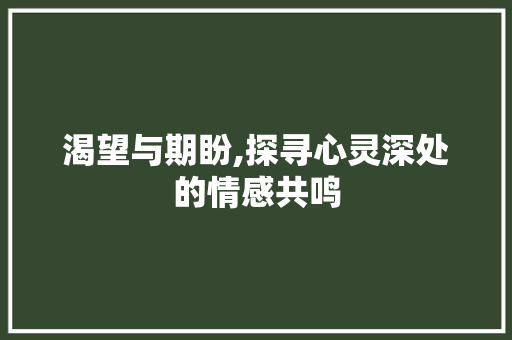 渴望与期盼,探寻心灵深处的情感共鸣