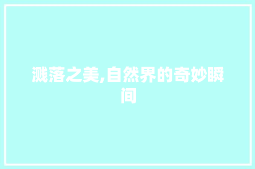 溅落之美,自然界的奇妙瞬间