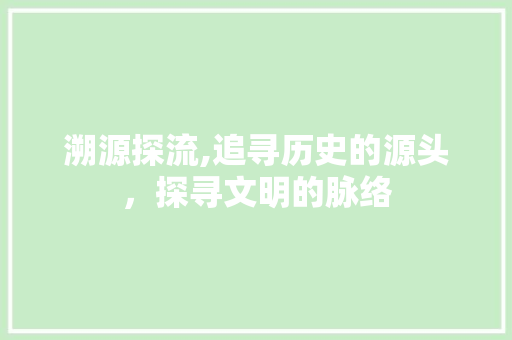 溯源探流,追寻历史的源头，探寻文明的脉络