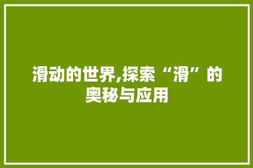 滑动的世界,探索“滑”的奥秘与应用 工作总结