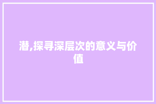 潜,探寻深层次的意义与价值 工作总结