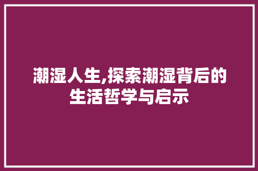 潮湿人生,探索潮湿背后的生活哲学与启示