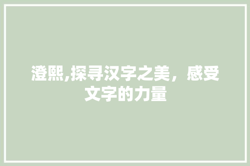 澄熙,探寻汉字之美，感受文字的力量