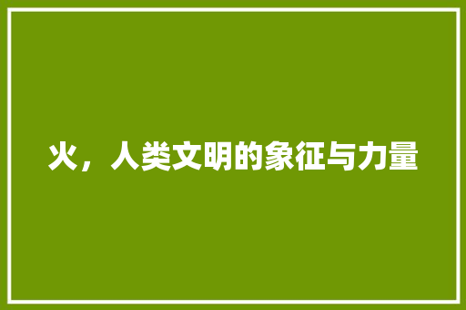 火，人类文明的象征与力量