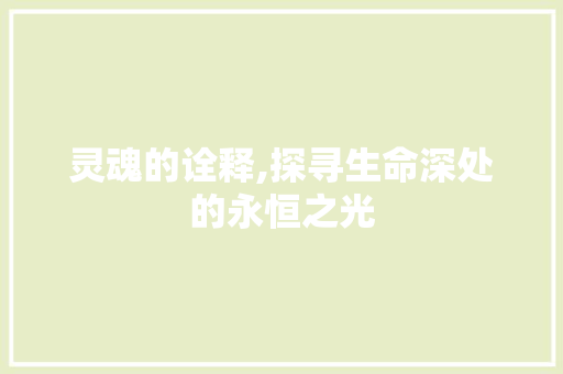 灵魂的诠释,探寻生命深处的永恒之光