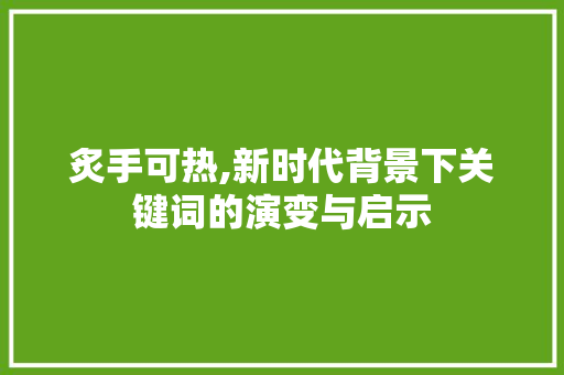 炙手可热,新时代背景下关键词的演变与启示