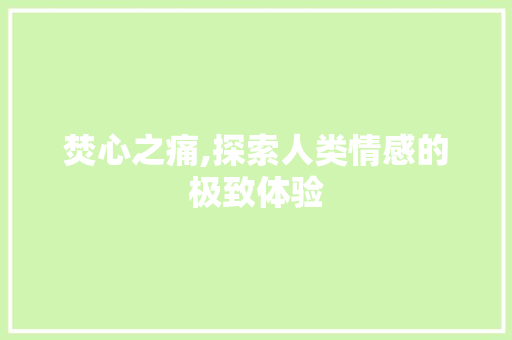 焚心之痛,探索人类情感的极致体验 社交媒体