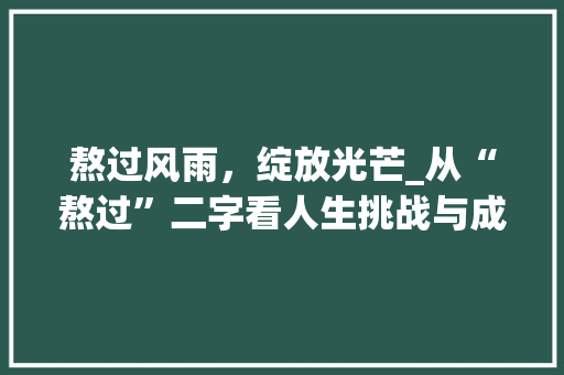 熬过风雨，绽放光芒_从“熬过”二字看人生挑战与成长