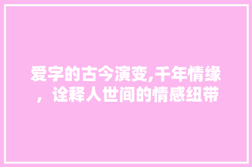 爱字的古今演变,千年情缘，诠释人世间的情感纽带