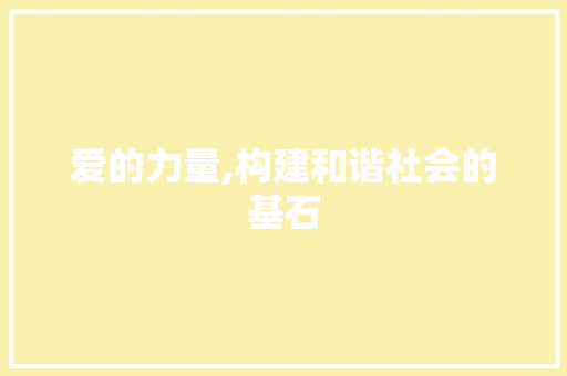 爱的力量,构建和谐社会的基石