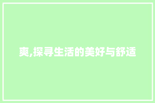 爽,探寻生活的美好与舒适