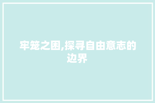牢笼之困,探寻自由意志的边界