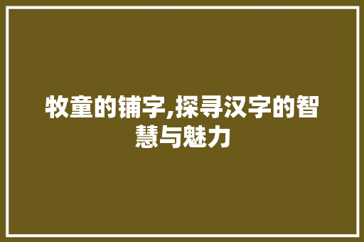 牧童的铺字,探寻汉字的智慧与魅力