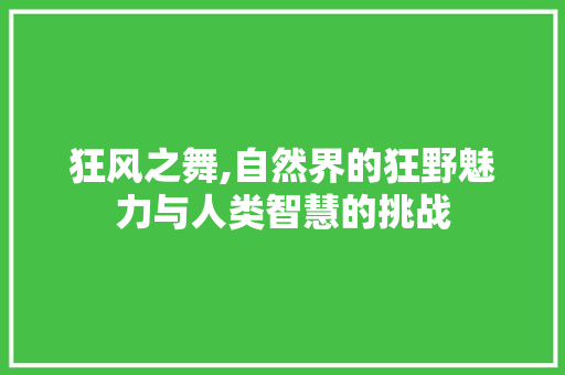 狂风之舞,自然界的狂野魅力与人类智慧的挑战