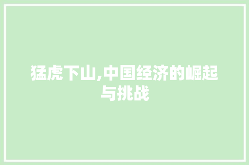 猛虎下山,中国经济的崛起与挑战