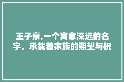 王子豪,一个寓意深远的名字，承载着家族的期望与祝福