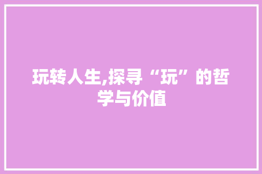 玩转人生,探寻“玩”的哲学与价值
