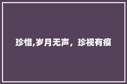 珍惜,岁月无声，珍视有痕
