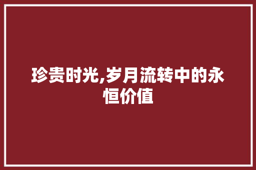 珍贵时光,岁月流转中的永恒价值