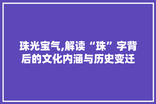 珠光宝气,解读“珠”字背后的文化内涵与历史变迁 项目报告