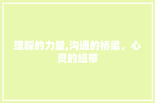 理睬的力量,沟通的桥梁，心灵的纽带