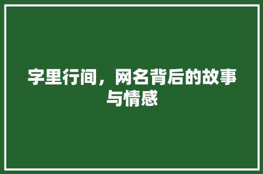 字里行间，网名背后的故事与情感