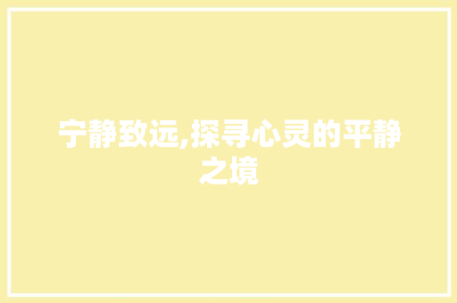 宁静致远,探寻心灵的平静之境