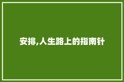 安排,人生路上的指南针