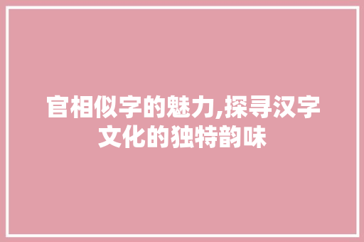 官相似字的魅力,探寻汉字文化的独特韵味