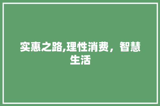 实惠之路,理性消费，智慧生活